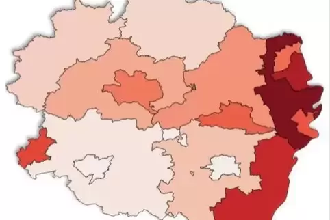 Infektionsgeschehen in der Pfalz. 