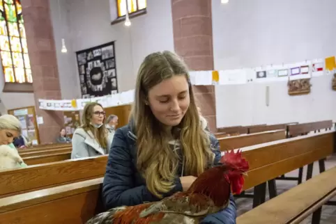 Michaela hat Hahn „Fluffi“ zur Tiersegnung in die Martinskirche mitgebracht. 