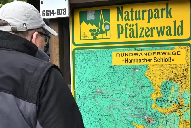 EIn Wanderer sucht auf der Infotafel nach einer geeigneten Route durch den Pfälzerwald.
