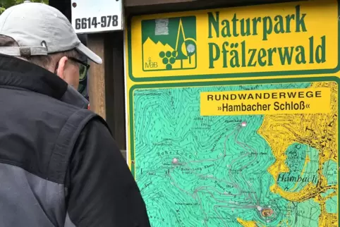 EIn Wanderer sucht auf der Infotafel nach einer geeigneten Route durch den Pfälzerwald. 