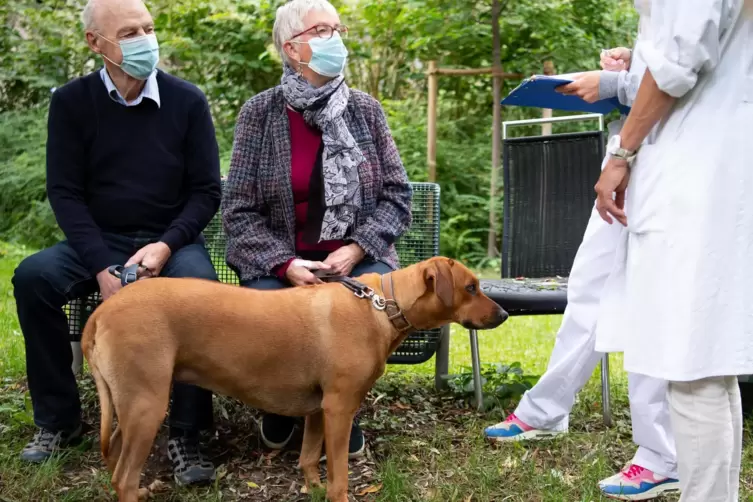 &bdquo;Also Bini, da kommen harte Zeiten&ldquo;, sagt Besitzerin Hildegard Br&uuml;hschwein (mit Ehemann Walter) die Vorgaben. 