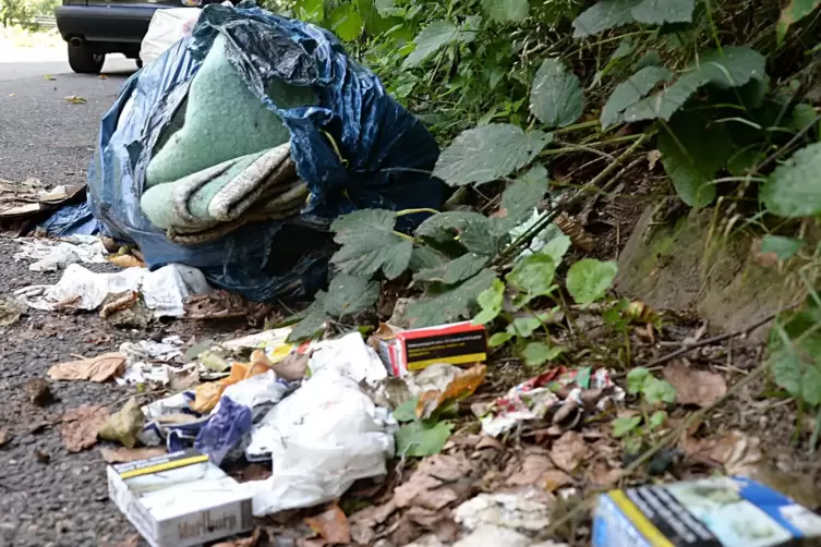 Müll in der Landschaft ist in Bobenheim-Roxheim ein großes Problem. Dagegen will die neue Umweltbeauftragte etwas tun. 