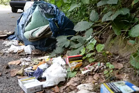 Müll in der Landschaft ist in Bobenheim-Roxheim ein großes Problem. Dagegen will die neue Umweltbeauftragte etwas tun. 