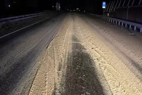 Das Tierfutter lag auf der A65 zwischen Landau und Edenkoben.