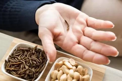 Insekten-Snacks in Schalen