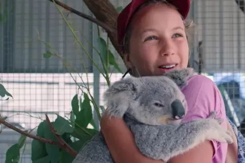 Enge Verbindung: Izzy Bee und ein Koalabär.