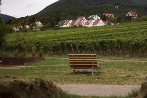 Entspannen mit Aussicht auf den Haardtrand. 