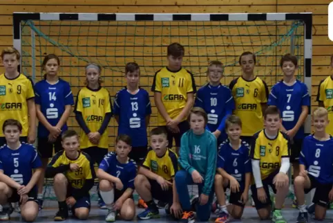 Landauer (in Blau) und Löwen in der Löwensteinhalle.
