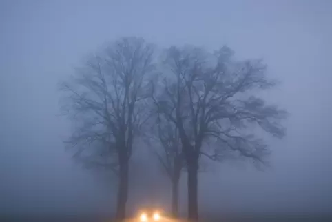 Am Mittwochmorgen kann es in Rheinland-Pfalz laut Wetterdienst Nebel geben. 