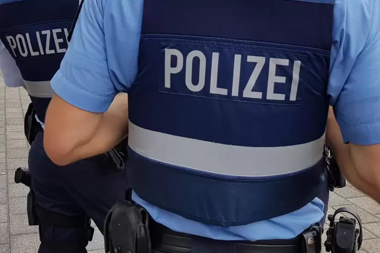 Die Polizeibeamten wurden in der Nacht von Montag auf Dienstag in die Wormser Stephansgasse gerufen. 