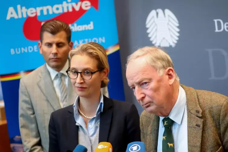 Der frühere Sprecher der AfD-Bundestagsfraktion Christian Lüth mit den Fraktionsvorsitzenden Alice Weidel und Alexander Gauland 