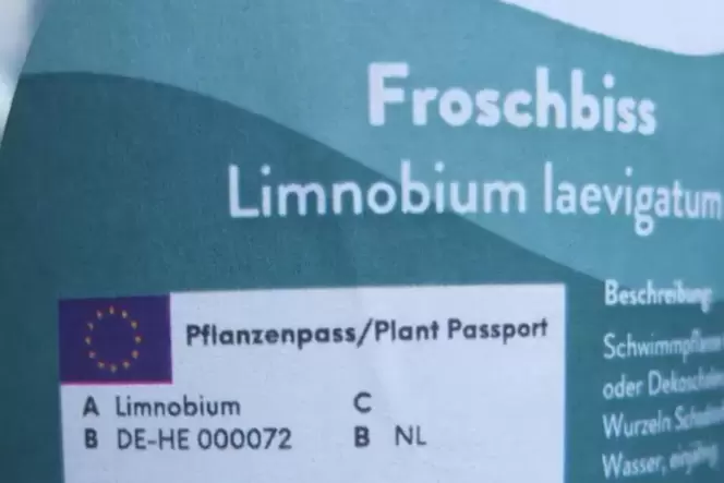 Soll verhindern, dass Schädlinge eingeschleppt werden: der EU-Pflanzenpass. Soll verhindern, dass Schädlinge eingeschleppt werden: der EU-Pflanzenpass.