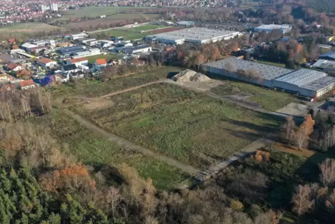 Auf einem 56.000 Quadratmeter großen Gelände im Haßlocher Industriegebiet Süd will ein US-Investor ein Logistikzentrum bauen. 