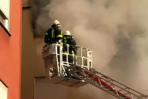 hausbrand3