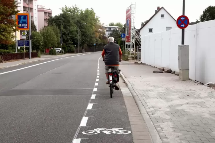 Radfahrer in Landau sollen es künftig leichter haben.