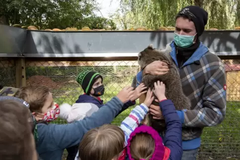 Alle wollen Waschbär Jochen streicheln: Janne Bach, einer der Betreiber des Gerhardsbrunner Erlebnishofs, zeigt den Kindern, wer