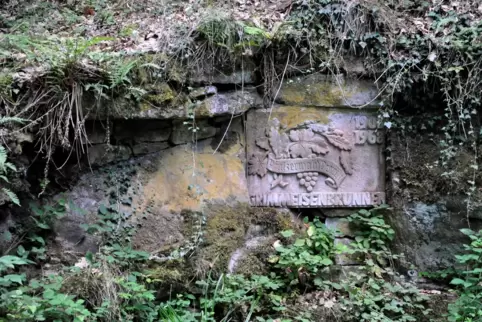Der Grimmeisenbrunnen ist derzeit ziemlich zugewuchert.