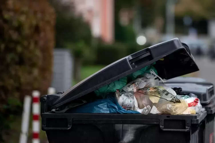 In einigen Regionen, wie hier in Bottrop, blieben am Dienstag die Mülltonnen ungeleert.