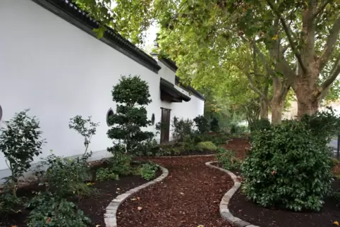 Der Kameliengarten wurde hinter der Mauer des Chinagartens in Richtung Neckar angelegt. 