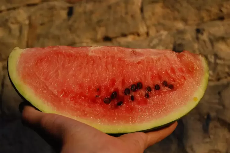  Wassermelone 