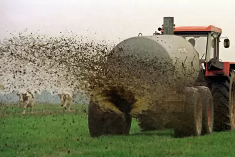 Nitrate spielen beim Düngen und in der Landwirtschaft immer wieder eine Rolle. 