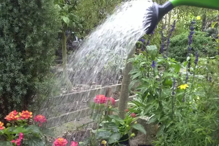 Brunnenwasser wird gerne im Garten eingesetzt.