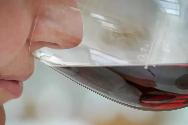 Insgesamt fast 15.000 rheinland-pfälzische Weine und Sekte wurden im Landesweinprämierungsjahr 2020 von den Prüfern bewertet. Di