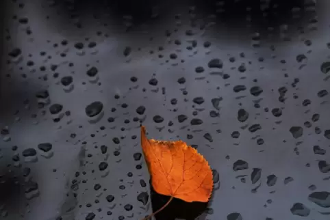 In Rheinland-Pfalz ist auch in den kommenden Tagen nichts von einem goldenen Herbst zu sehen. 