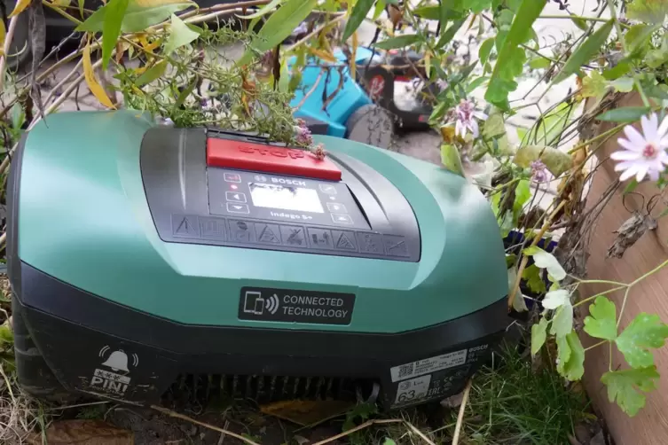  Kommt einem M&auml;hroboter ein Igel in den Weg, sieht es f&uuml;r das Tier schlecht aus.