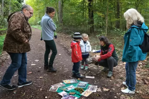  Spannend: Umweltbildungsförsterin Beate Werner zeigt Nora und Tim den Inhalt eines Nistkastens. Doris (rechts) und Michael Hein
