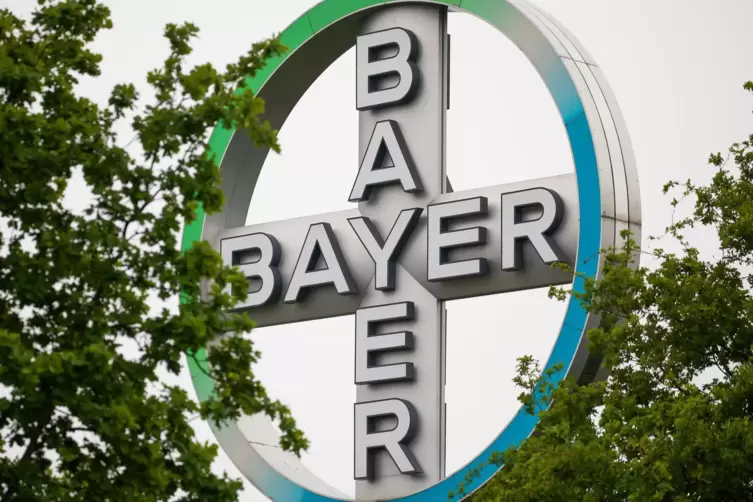Das Bayer-Kreuz
