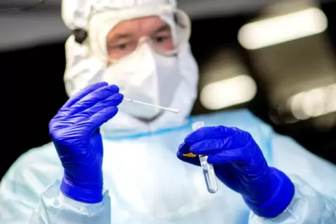 Mit PCR-Tests hat sich der Bobenheim-Roxheimer Betrieb vergewissert, dass keine weiteren Beschäftigten infiziert sind. 