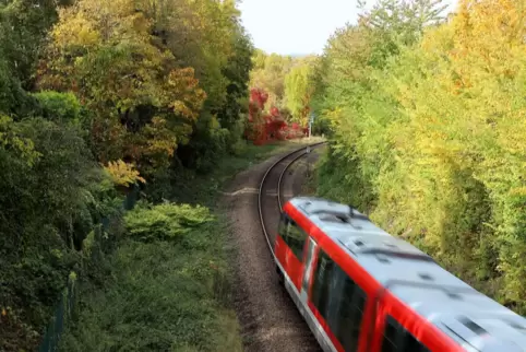 Wann genau die Kettensäge angelegt wird, steht laut Bahn noch nicht fest.