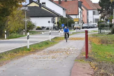 Zwischen Ellerstadt und Fußgönheim gibt es nun einen 1,5 Meter langen Radweg.