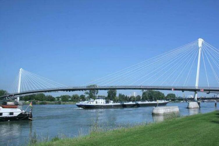 Freie Wähler Radlerbrücke über den Rhein Wörth DIE