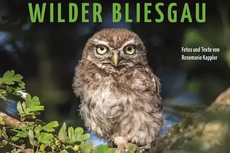 Die Titelseite des Buchs &bdquo;Wilder Bliesgau&ldquo;.