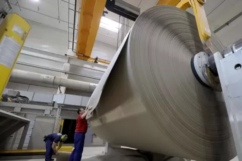 Wellpappe soll in der neuen Firma in Petersberg produziert werden. Unser Bild zeigt eine der riesigen Wellpappe-Rollen, die bei 