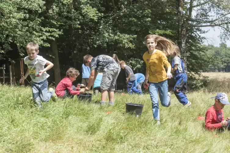 Der CVJM Pfalz bringt Kindern bei vielen Aktionen – wie hier beim Junior Ranger Entdecker Camp 2018 – die Natur näher. 