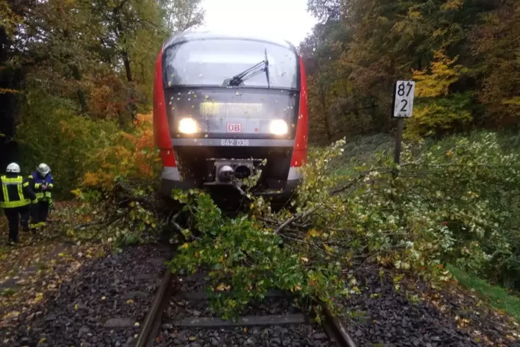 Betroffen war der 7-Uhr-Zug nach Zweibr&uuml;cken, in dem auch viele Sch&uuml;ler sa&szlig;en.