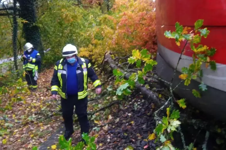 15 Feuerwehrleute aus Contwig und Dellfeld waren zwei Stunden im Einsatz. 