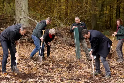 Buddeln für den Wald (von links): Landrat Dietmar Seefeldt, Revierförster Siegfried Knopp, Bürgermeisterin Hedi Braun, Forstwirt