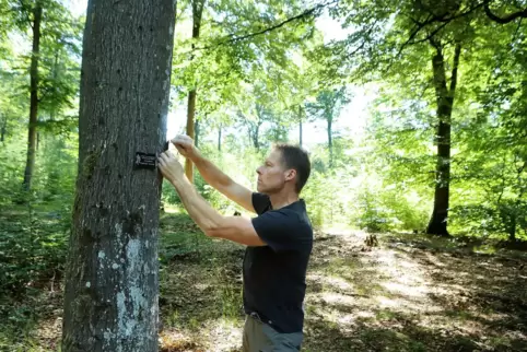Förster Bernhard Klein kontrolliert die Namensschilder für die Verstorbenen an den Bäumen im Ruheforst in Wilgartswiesen. 