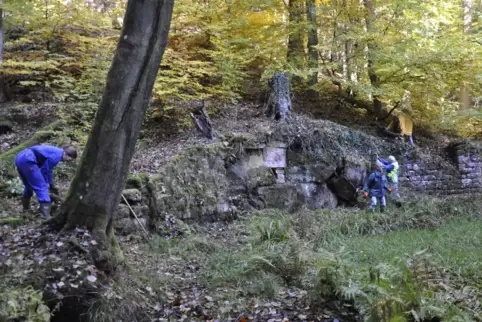 Die Helfer befreien den Grimmeisenbrunnen von Ästen und Efeu. 