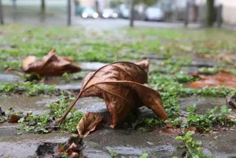 herbstwetter