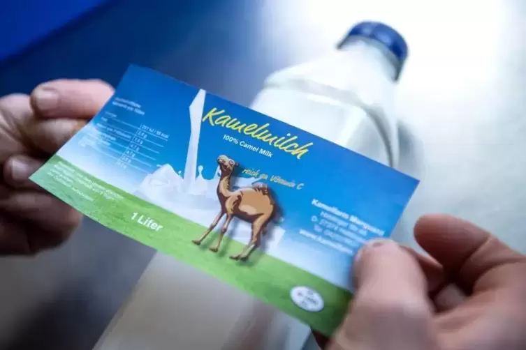 Kamelmilch aus Niedersachsen