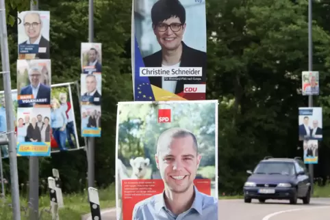 In Landau soll jeder Kandidat nur noch 240 Plakate für sich selbst hängen dürfen, schlägt Peter Lerch (CDU) vor. 