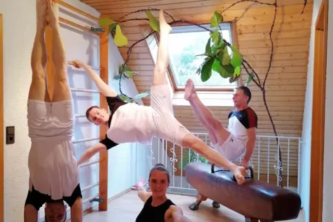 Daniel im Handstand, Carmen im Spagat, Lukas an der Sprossenwand und Andreas Eichhorn am Pferd, daheim in Morlautern, wo nun im 