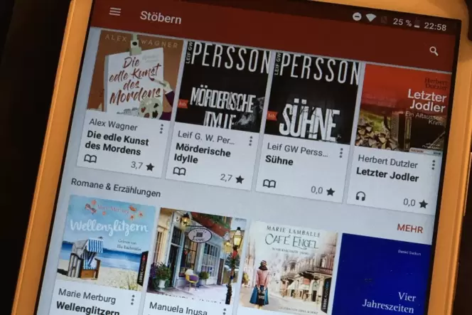 Vor zehn Jahren haben sich einige Bibliotheken im Land zu einem Verbund zusammengeschlossen, um die Onleihe Rheinland-Pfalz ins