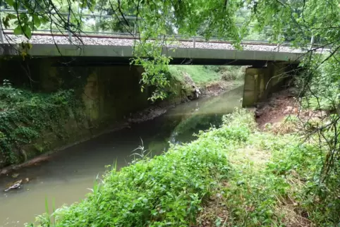 Die Eisenbahnbrücke nahe dem Engelshof in Kaiserslautern ist ein neuraligischer Punkt bei Hochwasser