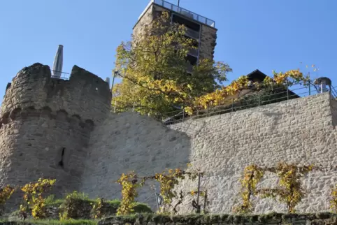 Die frisch gestrahlte und verfugte östliche Ringmauer nach der Sanierung.